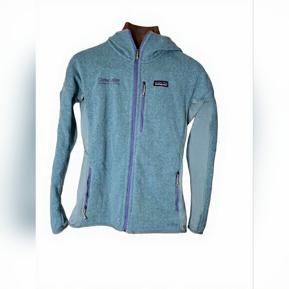 Patagonia Blue Hooded Zip Up Jacket Utility Fleece Athleisure Gorpcore